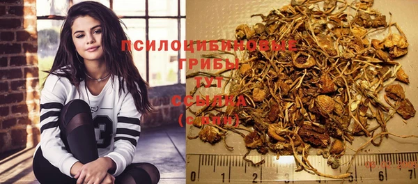 крисы Абдулино