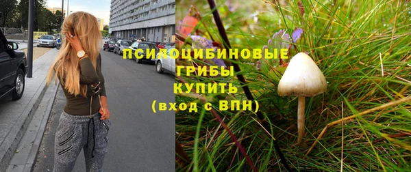 крисы Абдулино